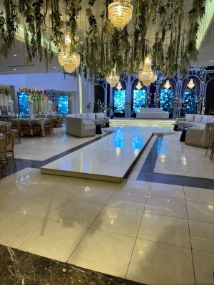 قصر احتفالات الإليزيه - 14