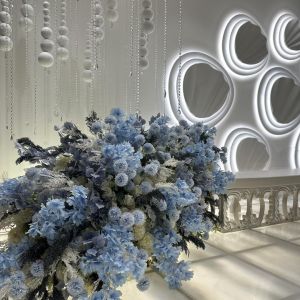 قاعة ريجنسي قاعة VIP - 8