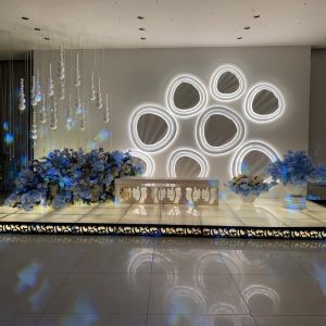 قاعة ريجنسي قاعة VIP - 5