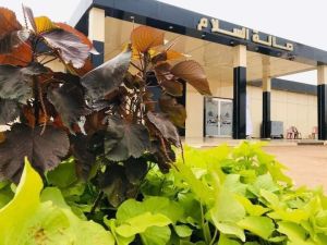 صالة السلام للمناسبات الخرطوم - 6