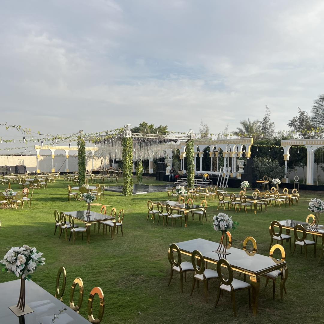 دار هافانا بلازا الشيخ زايد