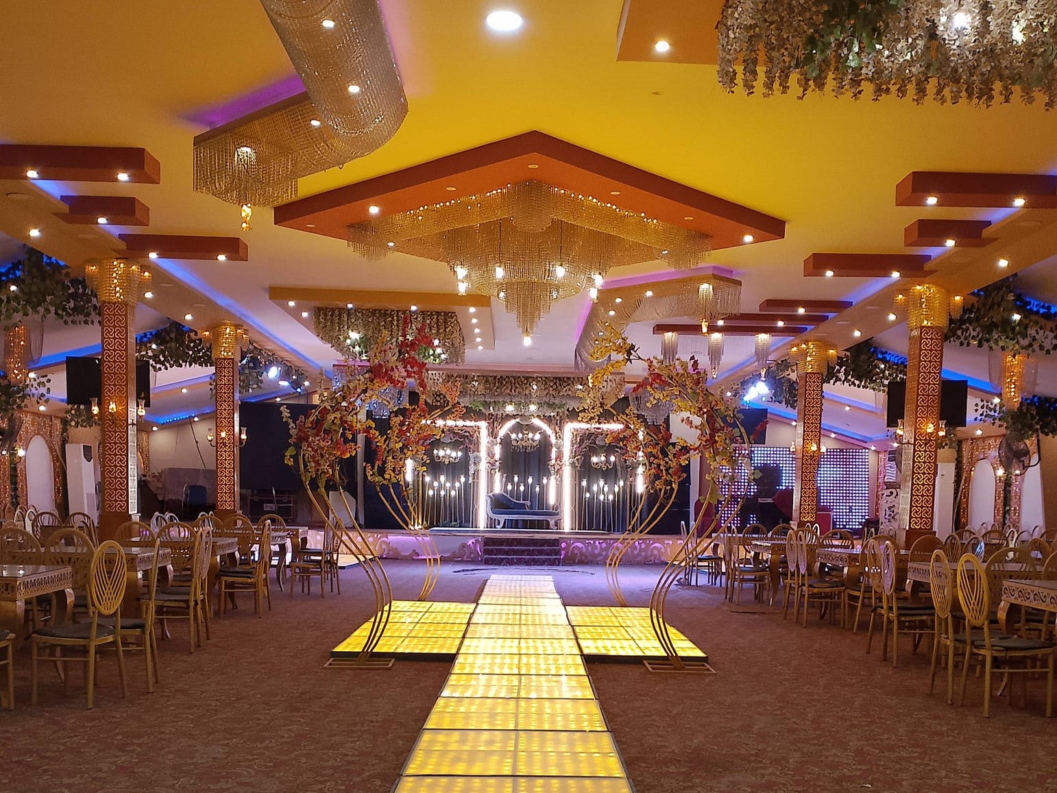 قاعة مسايا المنيا