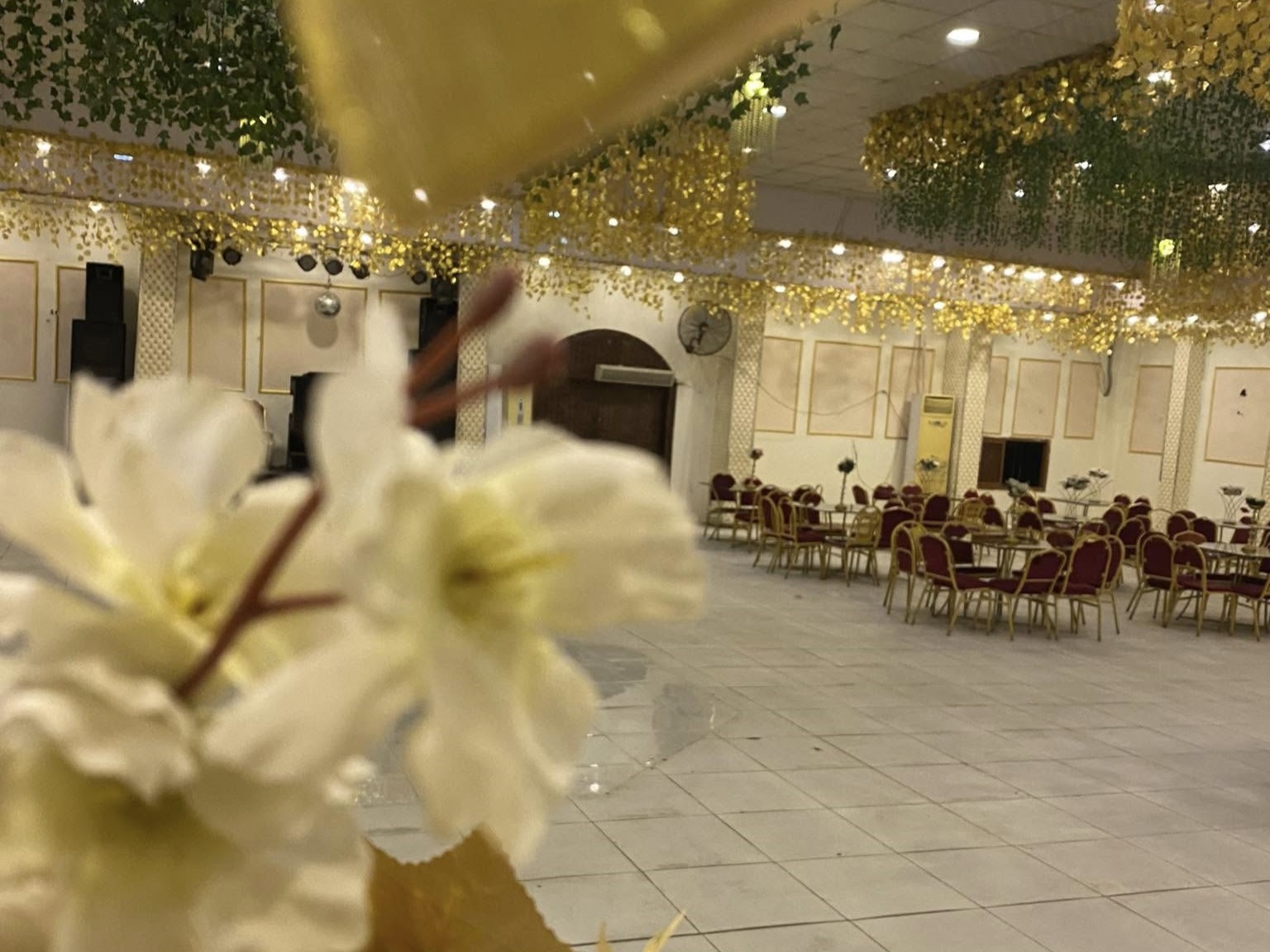 قاعة الأوركيد بلبيس