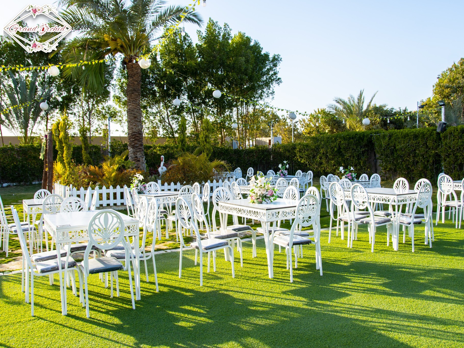 جراند أوركيد العبور