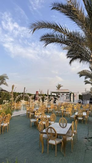 قرية الماسة قويسنا - 10