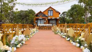 تري هاوس عرابي - 10