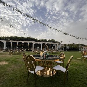 دار هافانا بلازا الشيخ زايد - 7