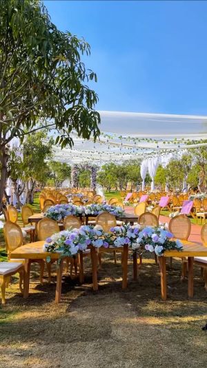 تري هاوس عرابي - 7