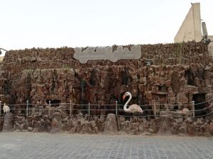 قاعة الدار الملكية - 6