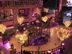 قرية الماسة الدقهلية - 16