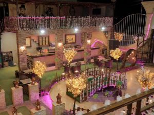 قرية الماسة الدقهلية - 17