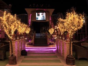 قرية الماسة الدقهلية - 19