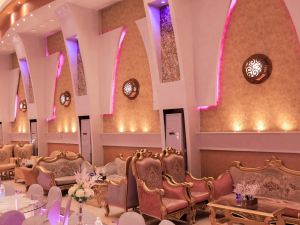 قرية الماسة الدقهلية - 4