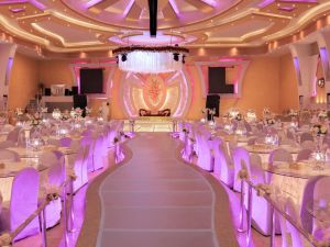 قرية الماسة الدقهلية - 5