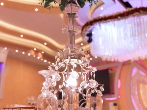 قرية الماسة الدقهلية - 9