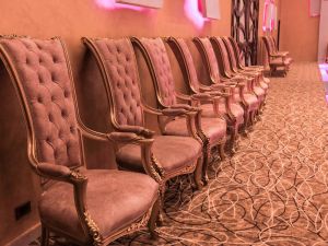 قرية الماسة الدقهلية - 20