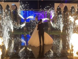 قاعه فيستيفال السويس - 5