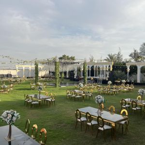 دار هافانا بلازا الشيخ زايد