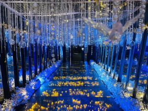 قاعة جراند ستار اسيوط - 15