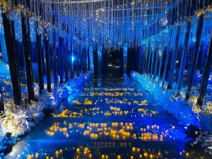 قاعة جراند ستار اسيوط - 4