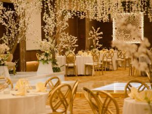 فرح الأوبن إير فندق هلنان دريم الجيزة Helnan Dream Hotel Giza - 15