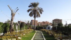 قاعة رويال بلازا المنوفية - 6