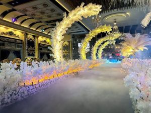 قاعة جراند سوهاج للافراح - 4
