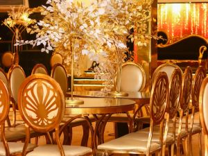 قاعة الياسمين بني سويف - 16