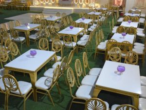 قاعة لاروزا للافراح بالفيوم - 11