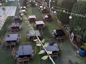 قاعة لوفلي المنيا - 13