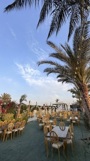 قرية الماسة قويسنا - 8