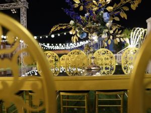 قاعات نايل استار - 6