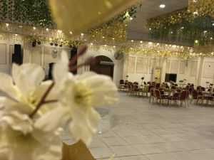 قاعة الأوركيد بلبيس