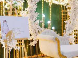 قاعة بلازا المنيا - 6