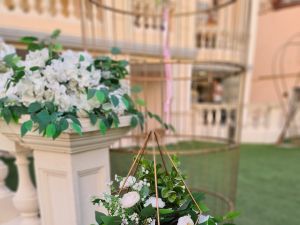 رويال بلازا اوبن اير المعادي - 9