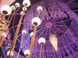 قاعة رويال فاميلي بارك - 14