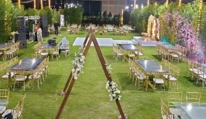 قاعة أفراح جميلة | طنطا - 2