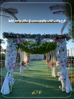 فيلا الريس للأفراح طنطا - 2