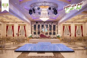 لاف ستوري قرية وادي النخيل طنطا - 9