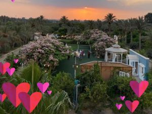 قاعة أفراح لاڤيستا العبور - 11