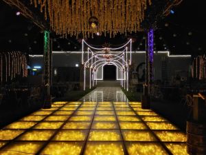 قاعة لوفلي المنيا - 5