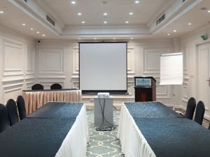 قاعات الاجتماعات فندق صن رايز أليكس أفينيو بيتش