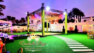 قاعه سندريلا بلازا المريوطية - 10