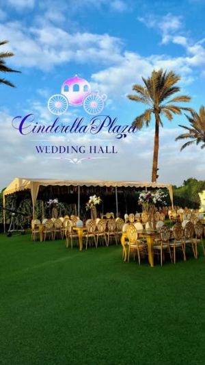 قاعه سندريلا بلازا المريوطية - 14