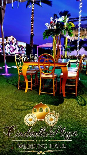 قاعه سندريلا بلازا المريوطية - 7