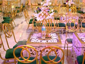 قاعة الطاووس طنطا - 13