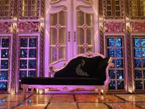 قاعة الطاووس طنطا - 16