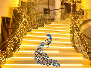 قاعة الطاووس طنطا - 5