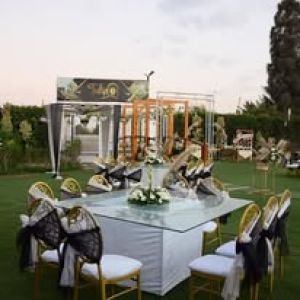 قاعة تيوليب - 17