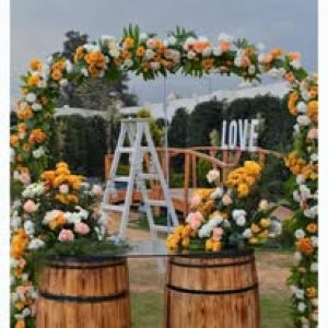 قاعة تيوليب - 25